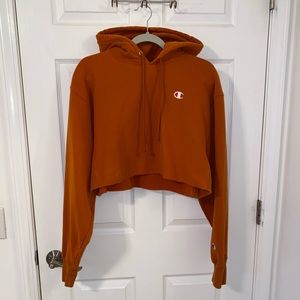 cropped champion hoodie